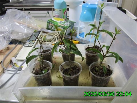 西田利の日記