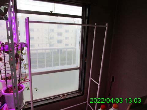 西田利の日記