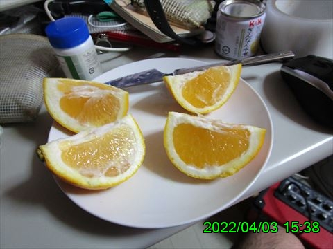 西田利の日記