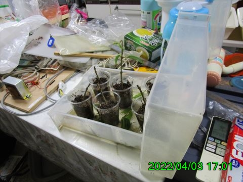 西田利の日記