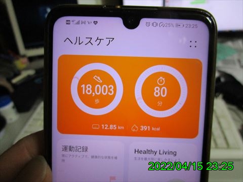 西田利の日記