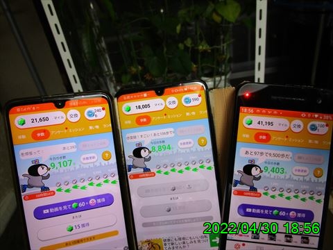 西田利の日記