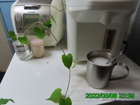 西田利の日記