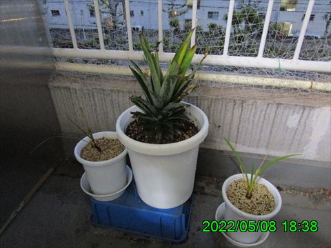 西田利の日記