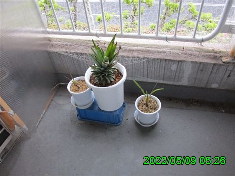 西田利の日記