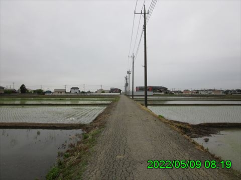 西田利の日記
