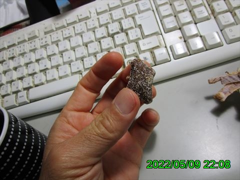 西田利の日記