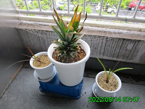 西田利の日記