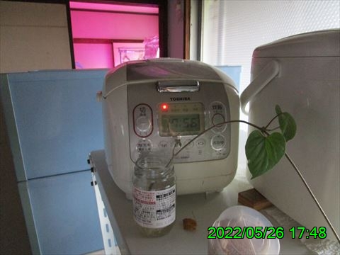 西田利の日記