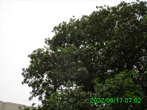 西田利の日記
