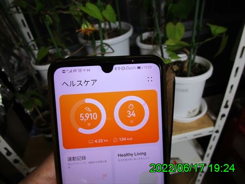 西田利の日記