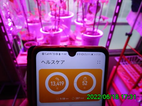 西田利の日記