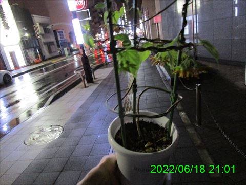 西田利の日記