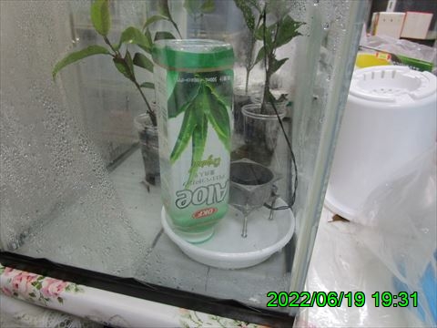 西田利の日記