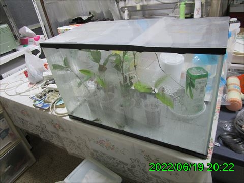 西田利の日記