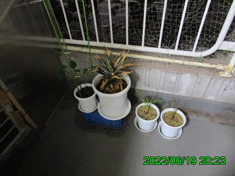 西田利の日記