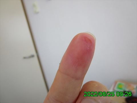 西田利の日記