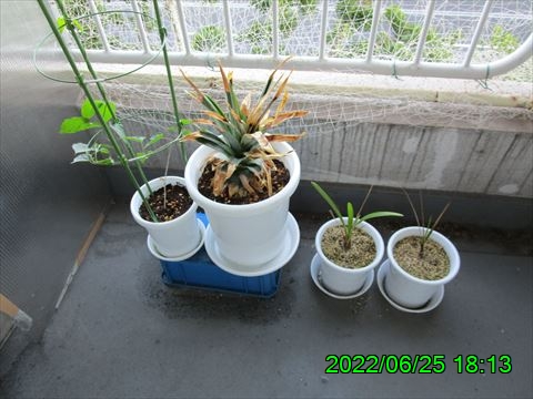 西田利の日記