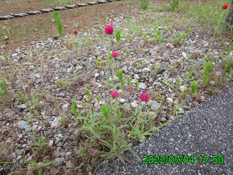 西田利の日記