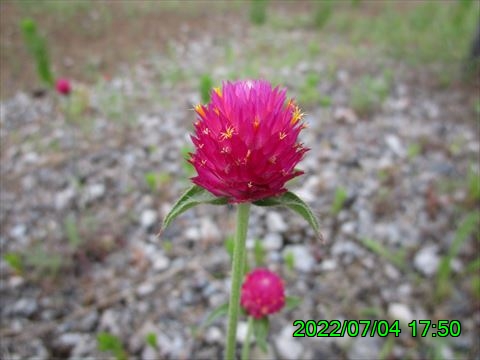 西田利の日記