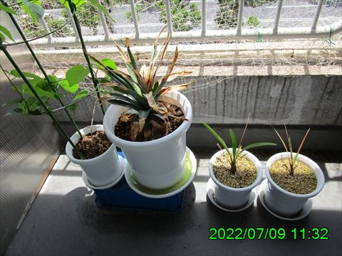 西田利の日記