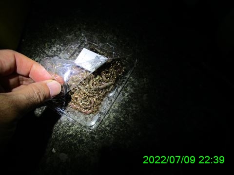 西田利の日記