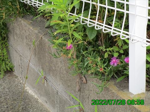 西田利の日記