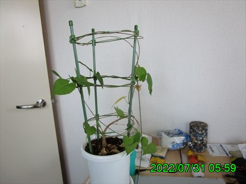 西田利の日記