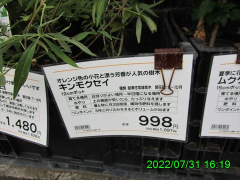 西田利の日記