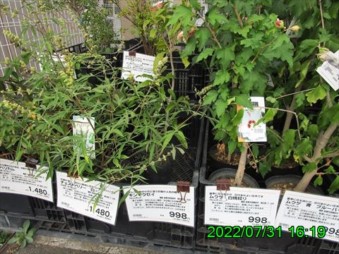 西田利の日記