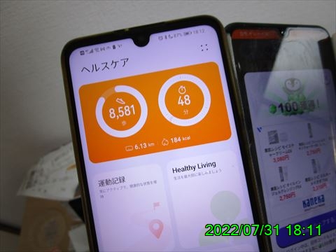 西田利の日記