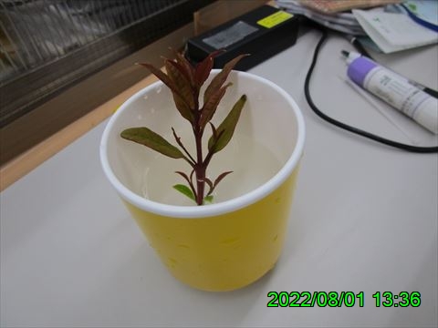 西田利の日記