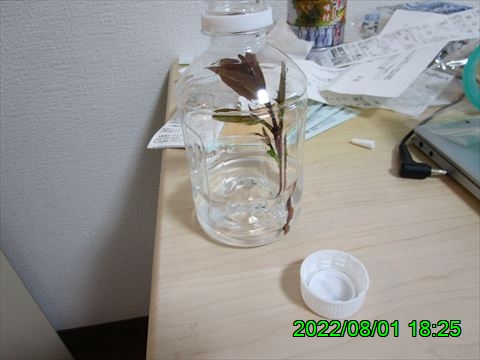 西田利の日記