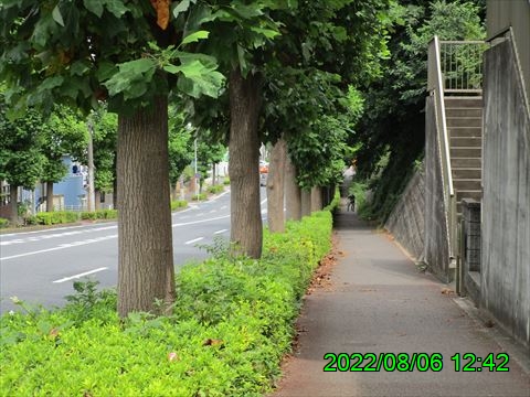 西田利の日記