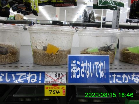 西田利の日記