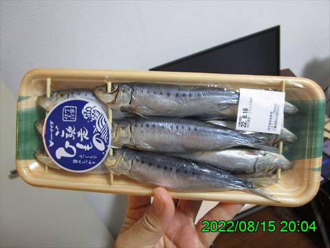 西田利の日記