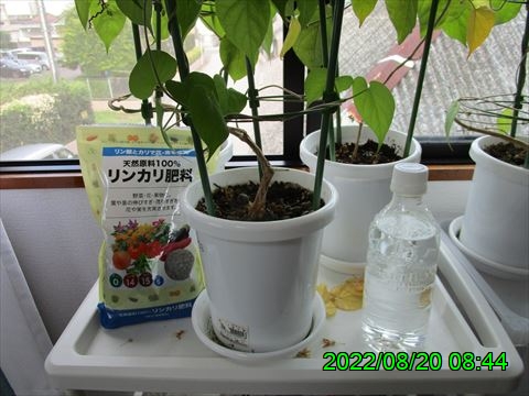 西田利の日記