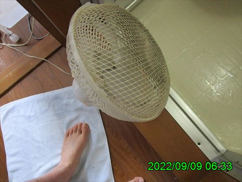 西田利の日記