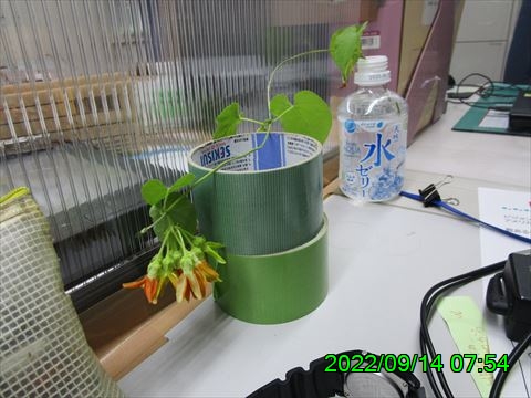 西田利の日記