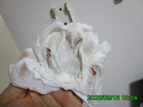 西田利の日記