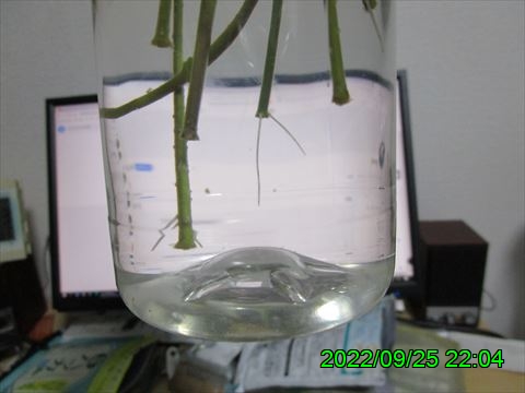 西田利の日記