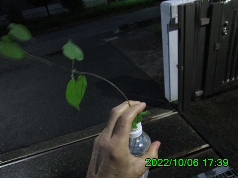 西田利の日記