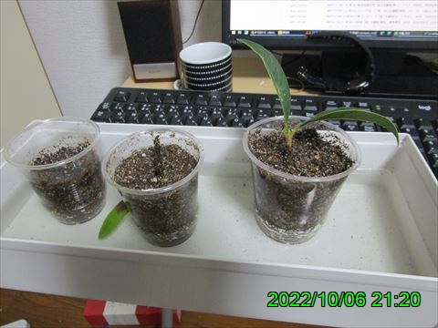 西田利の日記