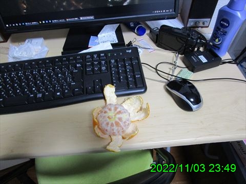 西田利の日記
