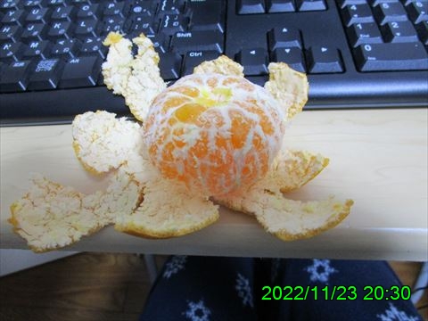 西田利の日記