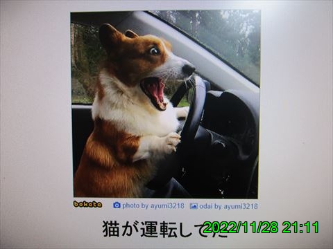 西田利の日記