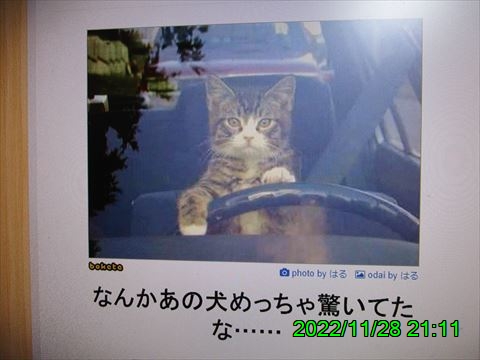 西田利の日記