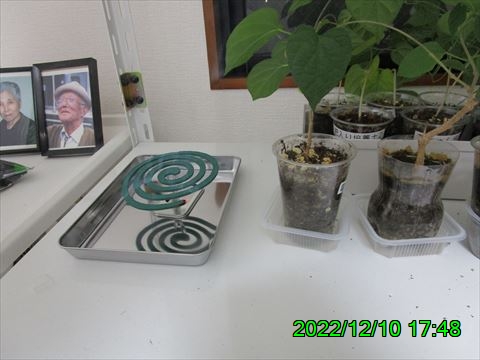 西田利の日記