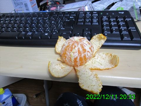 西田利の日記
