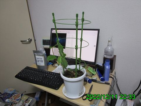 西田利の日記